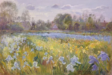 Irisfelt i kveldslyset, 1993